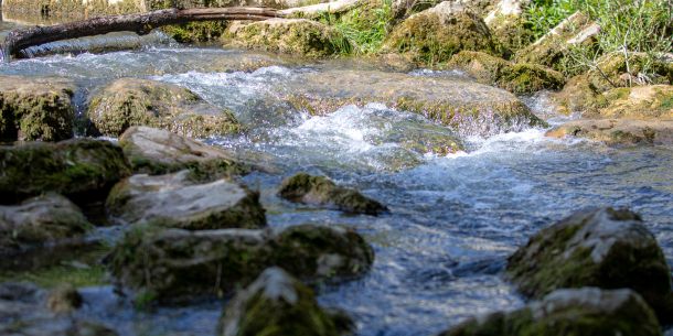 202605210521_RD4_0752-2