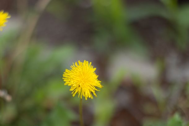 202605210521_R5D_8765-2